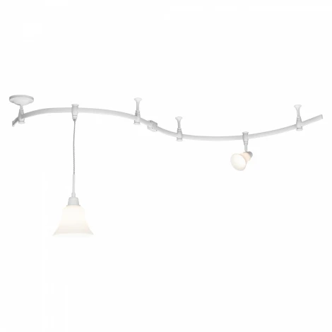 Трековый светильник Citilux Модерн CL560210 (220V)