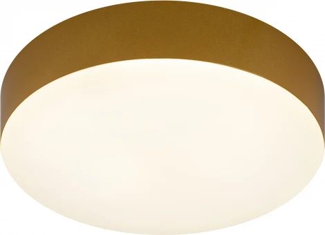 Потолочный светильник светодиодный ЭРА Relict 22 SPB-6-20 4К MG