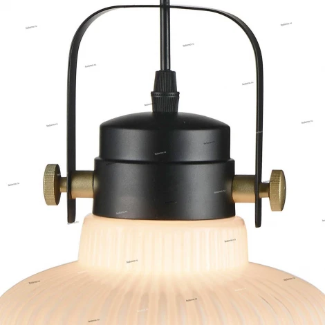 Подвесной светильник ST Luce Aletante SL714.443.01