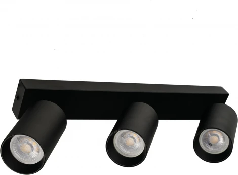 Потолочный светильник спот Brizzi Aras BR08089