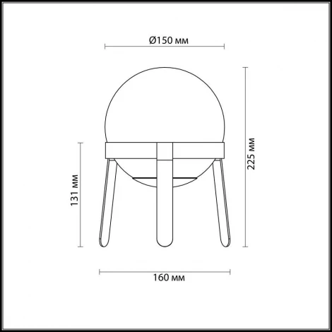 Интерьерная настольная лампа Lumion Chipo 3649/1T