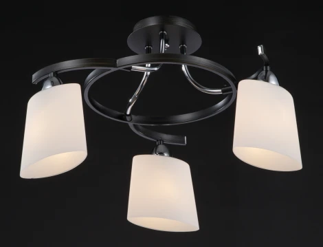 Потолочная люстра Maytoni Eurosize 2 TOC002-03-N