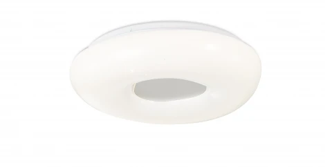 Потолочный светильник круглый Simple Story 1203 1203-LED24CL (220V, круглые)