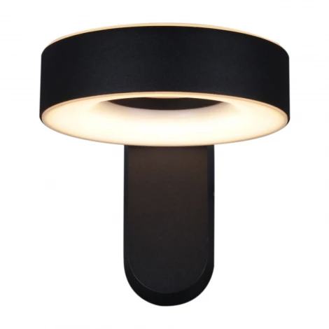 Архитектурная подсветка светодиодная Reluce 86869-9.2-001JH LED2*12W BK