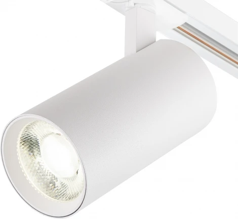 Трековый светильник однофазный Escada 20002 20002TRA/01LED SWH 10Вт, металл, белый матовый (220V, круглые)