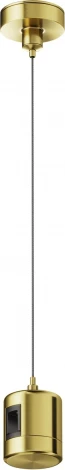Подвес тросовый Hang с прямым коннектором питания Flarity латунь Maytoni Accessories for tracks Flarity TRA157SW-IPC1-BS (24V)