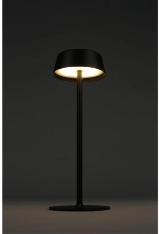 Настольная лампа светодиодная Omnilux OML-40504-01 (220V, гриб)