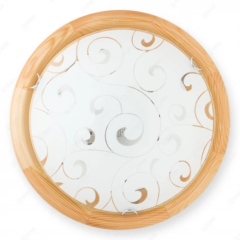 Настенно-потолочный светильник Toplight Kelly TL9043Y-02PN