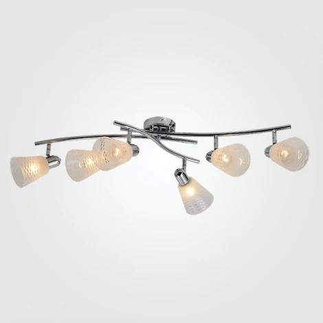 Спот Eurosvet Organic 20053/6 хром