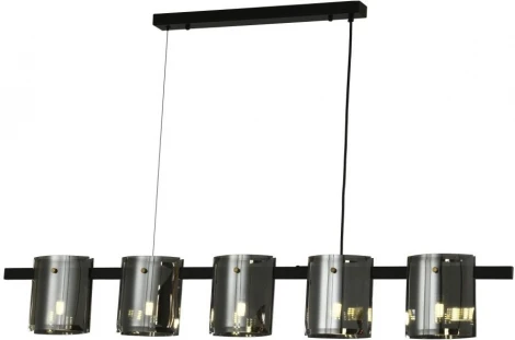 Подвесной светильник Zortes Rony ZRS.1209.01 (220V, на тросе)