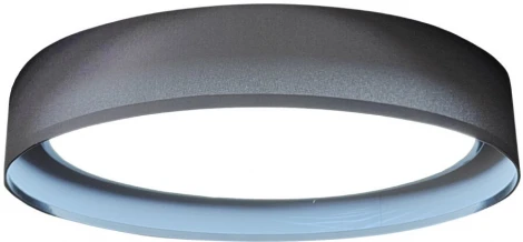 Потолочный светильник Seven Fires Лагом 48203.40.72.77BK-BK