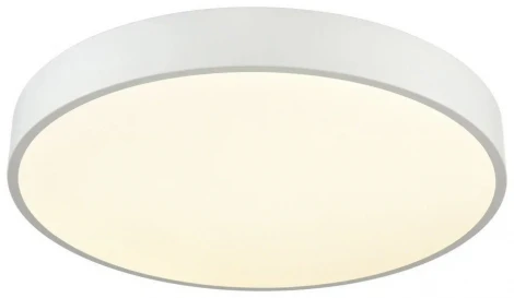 Потолочный светильник круглый светодиодный Velante 444-027-01 (220V, круглые)