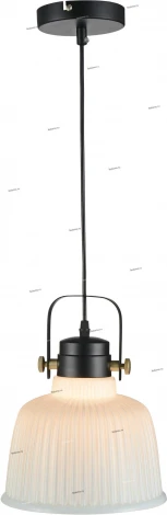 Подвесной светильник ST Luce Aletante SL714.443.01