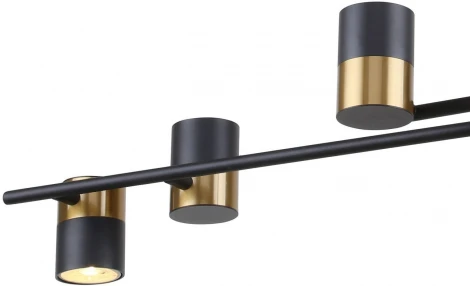 Потолочная люстра на штанге Chart 3092-6P F-Promo (220V)