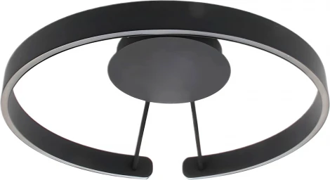 Потолочный светильник круглый светодиодный с пультом Mizi'en Leo MZ31371-600-PB (220V, кольцо)