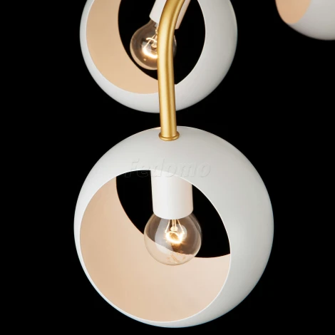 Потолочная люстра Eurosvet Luca 70055/6 белый