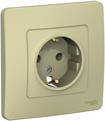 Розетка встраиваемая с заземлением (бежевый) Systeme Electric Blanca BLNRS001017