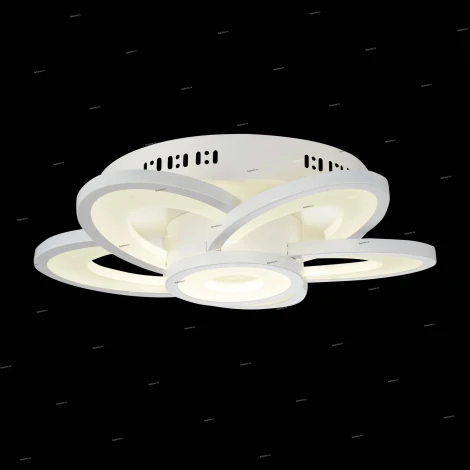 Потолочный светильник уличный ST Luce Petalo SL909.102.06