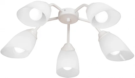 Потолочная люстра на штанге Vitaluce V31950/5PL (220V)