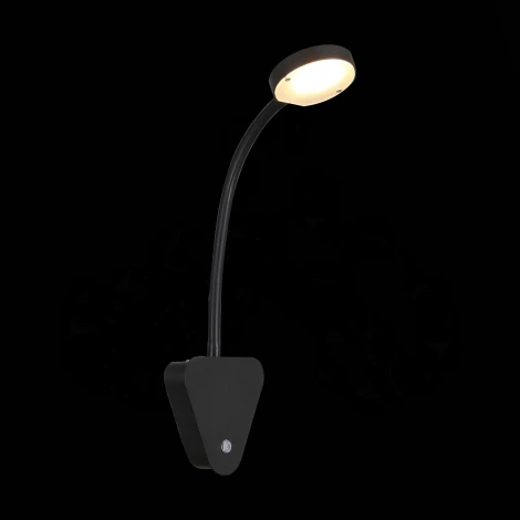 Настенный светильник ST Luce Siegen SL607.401.01