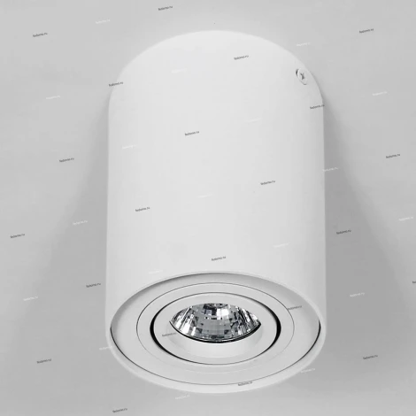 Потолочный светильник круглый Lightstar Binoco 052016 (220V)