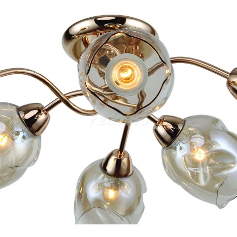 Потолочная люстра F-Promo Bento 2190-6U