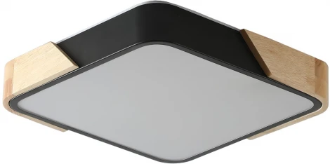 Потолочный светильник Zortes Alberro ZRS.01281.60 (LED, 220V)