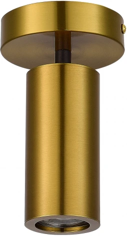 Потолочный светильник ST Luce Talia SL1215.402.01