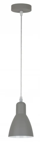 Подвесной светильник Arte Lamp Mercoled A5049SP-1GY