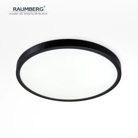 Потолочный светильник светодиодный Raumberg XD2020.SL28 Black