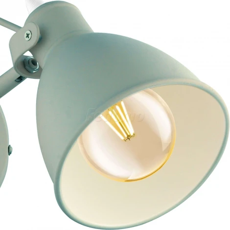 Спот Eglo Priddy-P 49096