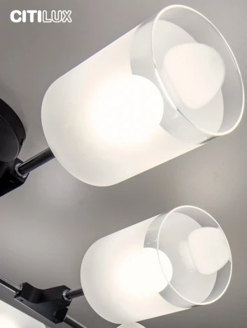 Потолочная люстра на штанге Эрик CL136165 Citilux