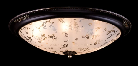 Потолочный светильник Maytoni Diametrik C907-CL-06-R