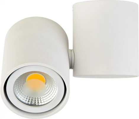 Накладной светильник Donolux Eva A1594White/RAL9003 (220V, круглые)