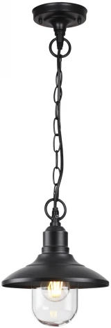 Уличный светильник подвесной Odeon Light Campa 4965/1 (220V, на цепи, круглые, IP44)