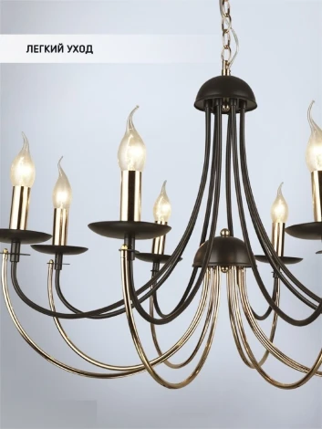 Подвесная люстра Wedo Light Kali WD3540/8H-CF-FGD-CL