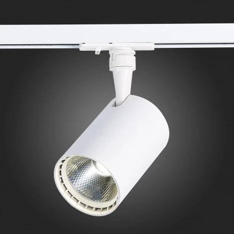 Трековый светильник ST Luce Cami ST351.546.15.36 (LED, 220V, круглые, IP22)