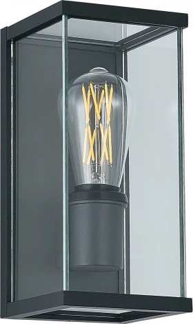 Настенный светильник уличный ST Luce Gross SL9019.701.01 темно-серый/прозрачный E27 1*15W (220V, IP54)