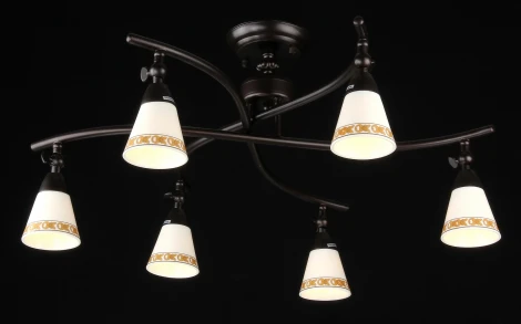 Потолочная люстра Maytoni Spot 1 ECO001-06-R