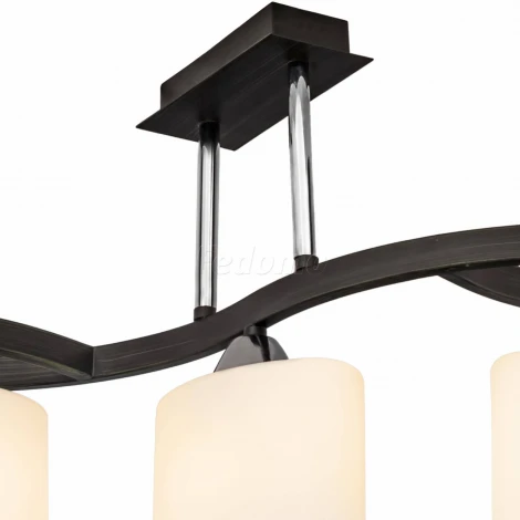 Потолочная люстра Silver Light Astoria 234.59.5