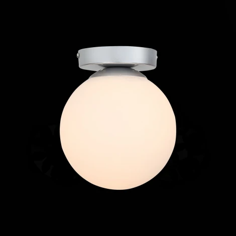 Настенно-потолочный светильник ST Luce Acini SL717.501.01