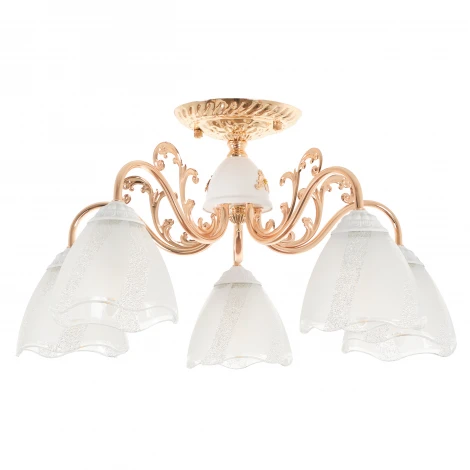 Потолочная люстра MyFar Nicole MR1661-5C (220V)