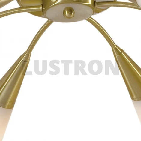 Потолочная люстра Citilux Fokus CL103162