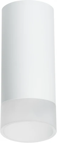 Точечный накладной светильник Lightstar Rullo R648681 (220V, круглые)