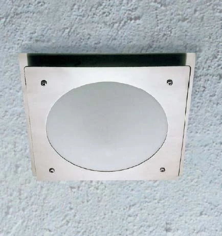 Потолочный светильник уличный Oasis Light 77803 SS (220V, IP44)