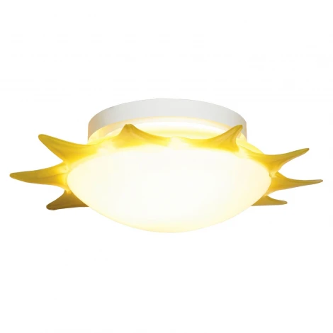 Настенно-потолочный светильник Lussole Meda LSA-1152-03