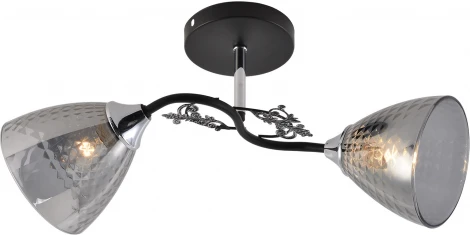 Потолочная люстра на штанге Reluce 01525-0.3-02 BK+CR (220V)