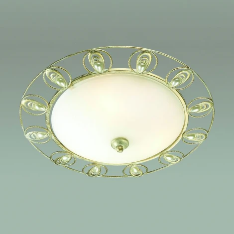 Настенно-потолочный светильник Odeon Light Kanti 3483/3C