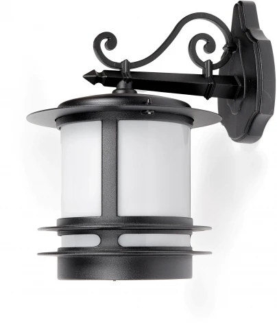 Уличный настенный фонарь Oasis Light TOKIO 68302/02 Bl opal (220V, IP44)