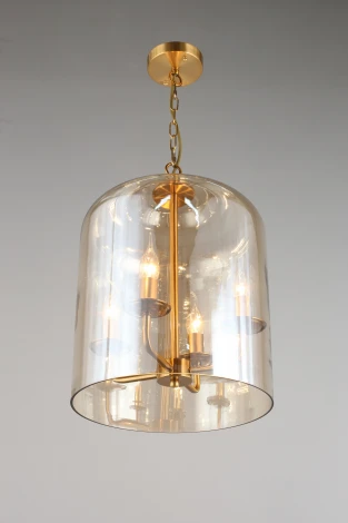 Подвесная люстра Aployt Polin APL.603.06.06